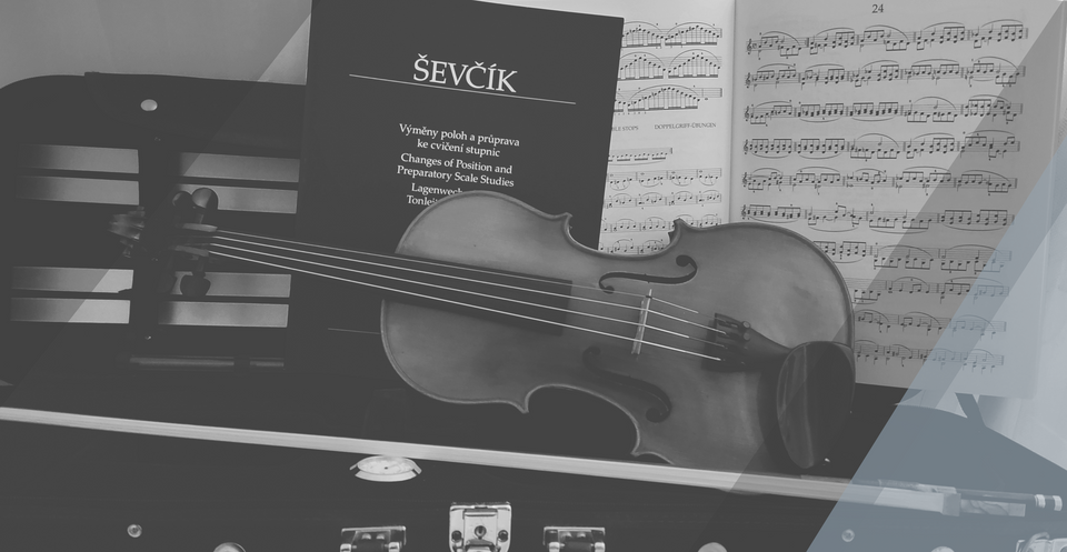 Sind Sie auf der Suche nach Unterricht für Violine oder Viola?